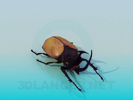 3D Modell Käfer - Vorschau