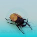 modèle 3D scarabé - preview