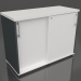 3d model Cabinet with sliding doors Standard A2P05 (1000x432x740) - preview