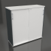 3d model Cabinet with sliding doors Standard MEA3P06 (1200x432x1189) - preview