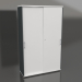 3d model Wardrobe with sliding doors Standard MEA5P06 (1200x432x1945) - preview