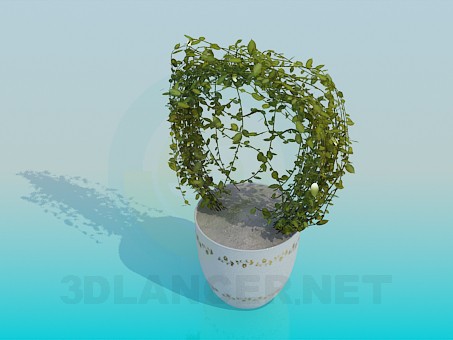 3d model Pot with flower - preview