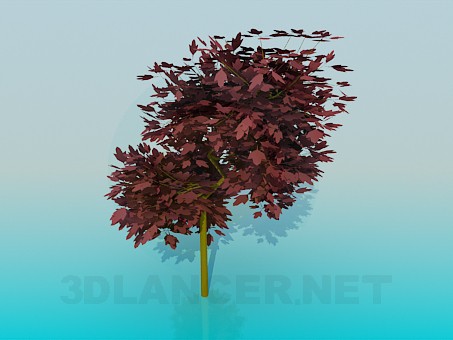 3d model Árbol con hojas rojas - vista previa