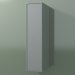 3D modeli 1 kapılı duvar dolabı (8BUAСDD01, 8BUACDS01, Silver Grey C35, L 24, P 36, H 96 cm) - önizleme