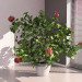 3d Hibiscus model buy - render