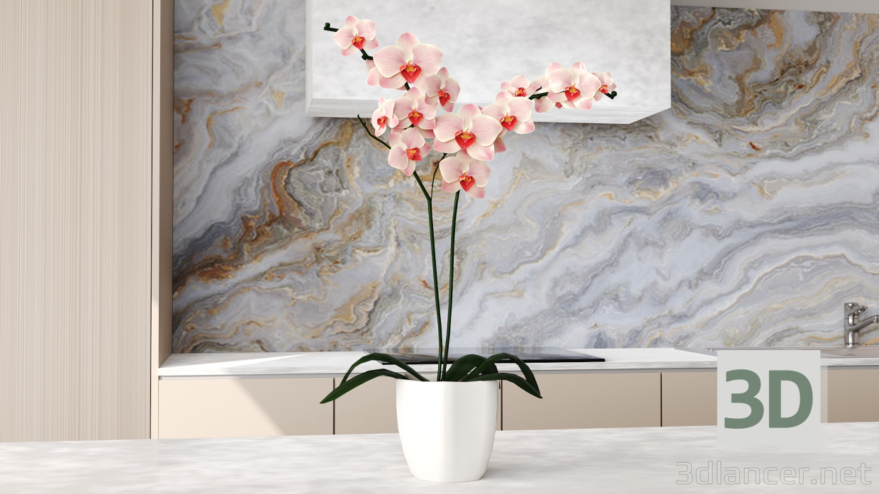 Orquídea 3D modelo Compro - render