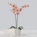 3d orchid model buy - render