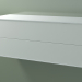 modèle 3D Tiroir double (8AUECB01, Glacier White C01, HPL P01, L 120, P 50, H 48 cm) - preview