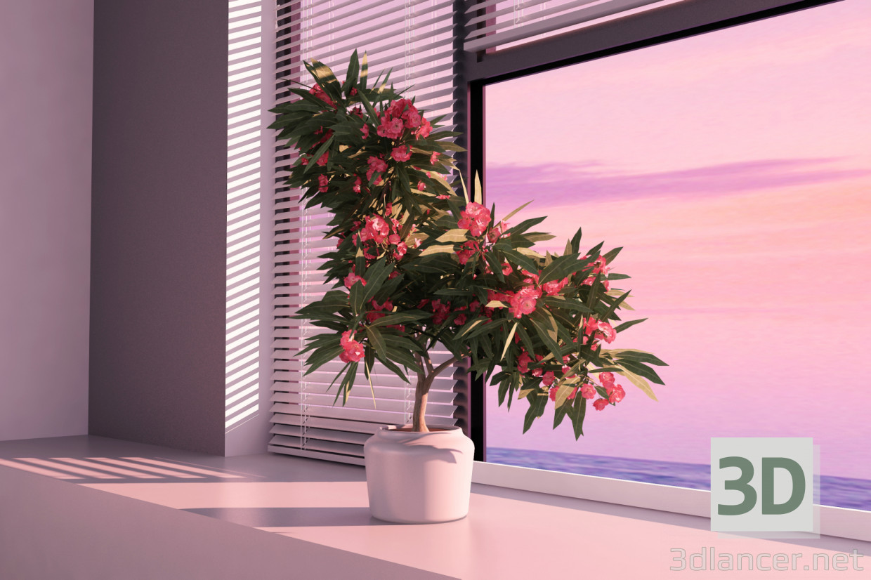 adelfas en flor 3D modelo Compro - render