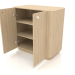 3d model Cabinet TM 031 (open) (660x400x650, wood white) - preview