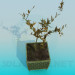 modèle 3D La plante dans un pot - preview