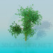 3D modeli Küçük ağaç - önizleme