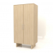 3 डी मॉडल अलमारी डब्ल्यू 02 (1000x600x2000, लकड़ी सफेद) - पूर्वावलोकन