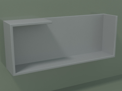 Horizontal shelf (90U19006, Silver Gray C35, L 60, P 12, H 24 cm)