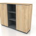 3d model Semi-bookcase Status X3679 (1520x421x1167) - preview