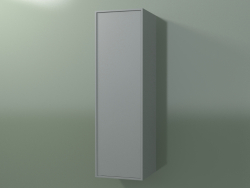 Armário de parede com 1 porta (8BUBDDD01, 8BUBDDS01, Cinza prateado C35, L 36, P 36, H 120 cm)