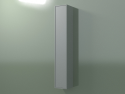 Armario de pared con 1 puerta (8BUAECD01, 8BUAECS01, Silver Grey C35, L 24, P 24, H 144 cm)