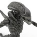 modèle 3D de La Reine alien acheter - rendu