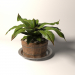 3D Ahşap bir tencereye bitki modeli satın - render