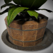 3D Ahşap bir tencereye bitki modeli satın - render