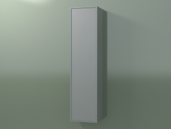 Armario de pared con 1 puerta (8BUBECD01, 8BUBECS01, Silver Grey C35, L 36, P 24, H 144 cm)