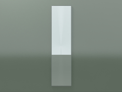 Spiegel Rettangolo (8ATBH0001, silbergrau C35, Н 192, L 48 cm)