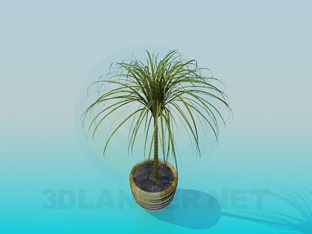 3D Modell Blumentopf - Vorschau