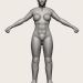 3D Modell Dienstmädchen - Vorschau