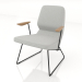 3d model Armchair on D12 mm slides with armrests - preview