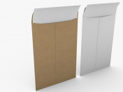 Envelope with Paper