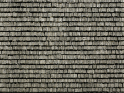 wooden roof 011