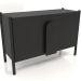 3d model Cabinet TM 05 (1200x450x800, wood black) - preview
