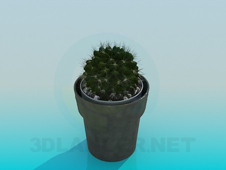 Modelo 3d Cactus em um potenciômetro - preview