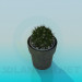 3d model Cactus in a pot - preview