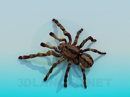 3D modeli Örümcek - önizleme
