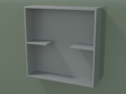 Boîte ouverte avec étagères (90U31001, gris argenté C35, L 48, P 12, H 48 cm)
