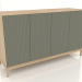 modèle 3D Meuble TV FARGO avec façades fraisées 1600x500x950 mm (olivier, chêne éclairci, option 4) - preview
