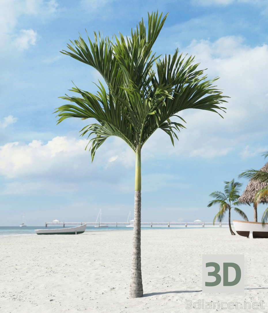 3d model palmera tropical - vista previa