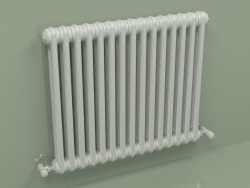 Radiateur TESI 2 (H 600 15EL, gris Manhattan)