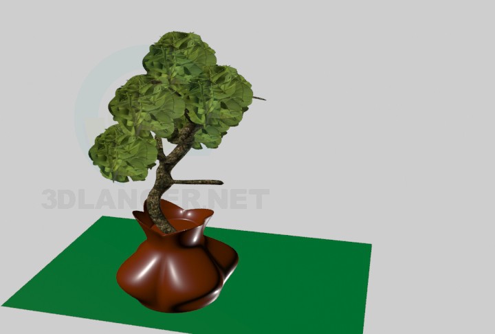 modello 3D Bonsai - anteprima