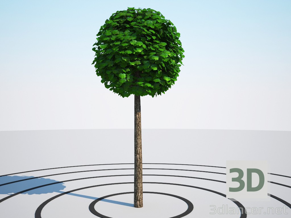 modello 3D di Palla Il Il tronco Tilia platyphyllos comprare - rendering
