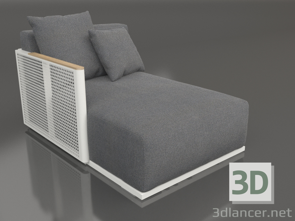3d model Sofa module section 2 left (Agate gray) - preview