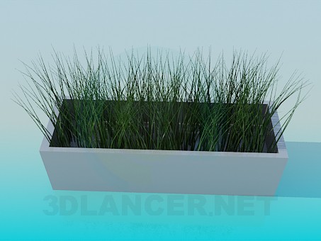 3D Modell Grass - Vorschau