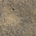 tarred ground buy texture for 3d max