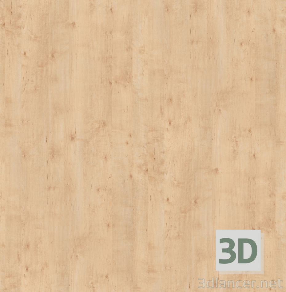 Texture Bouleau de texture bois. Téléchargement gratuit - image