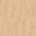 Texture download gratuito di Struttura in legno Betulla. - immagine