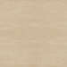 Texture Glued white oak, texture free download - image