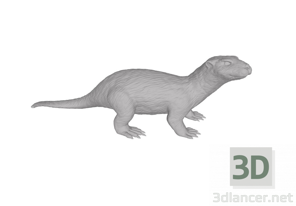 3d model Una especie de mamíferos depredadores de la familia de las comadrejas - Nutria - vista previa