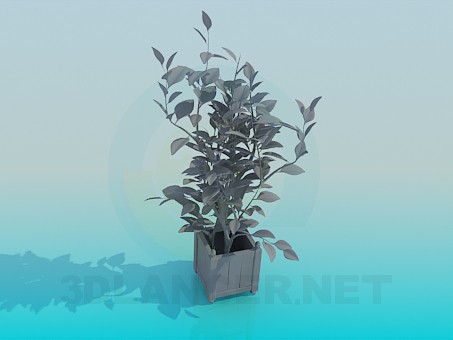 Modelo 3d Plantas Растения - preview