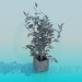modello 3D Piante Растения - anteprima